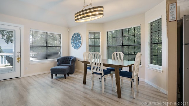 dining space featuring light hardwood / wood-style flooring and a healthy amount of sunlight