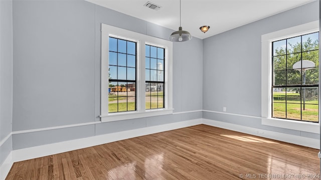 unfurnished room featuring a wealth of natural light and wood-type flooring