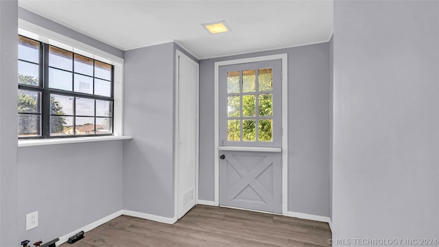 doorway to outside featuring a wealth of natural light and hardwood / wood-style floors