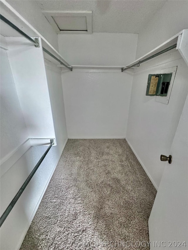 spacious closet with carpet flooring