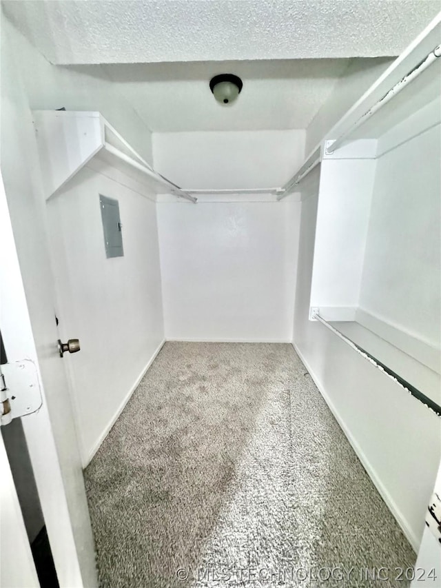 walk in closet with carpet floors and electric panel