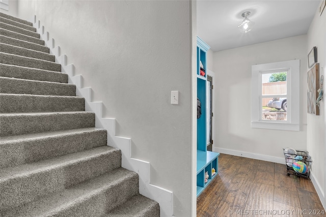 stairs with dark hardwood / wood-style floors