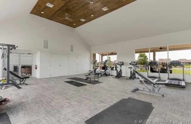 exercise room featuring light colored carpet and high vaulted ceiling