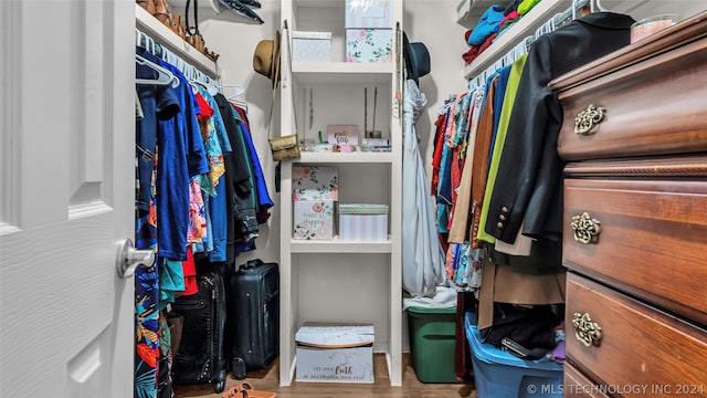 spacious closet with hardwood / wood-style floors