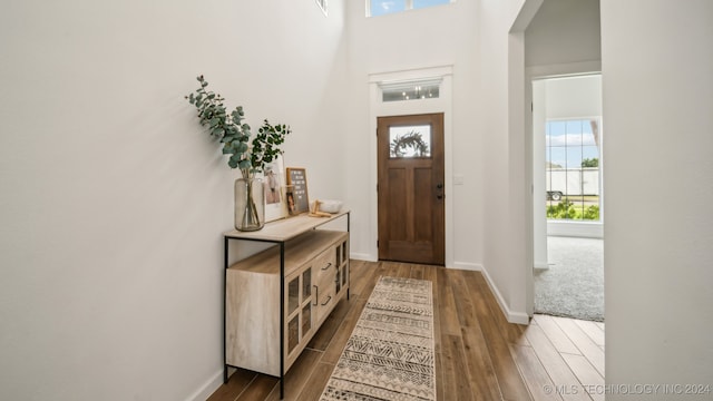 foyer featuring dark hardwood / wood-style floors, a high ceiling, and a wealth of natural light