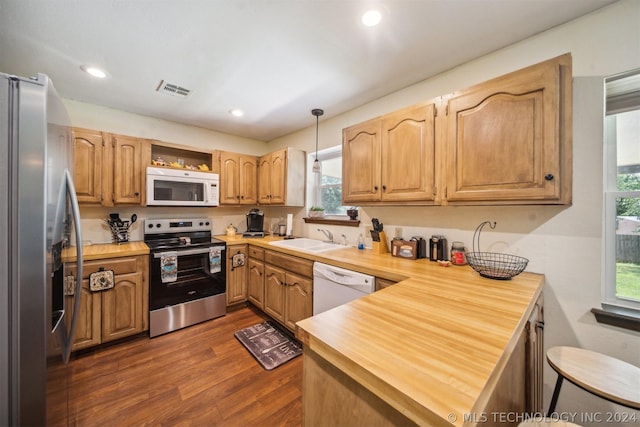 kitchen with sink, butcher block counters, hanging light fixtures, stainless steel appliances, and dark hardwood / wood-style floors