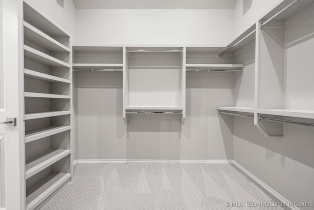 spacious closet with carpet floors