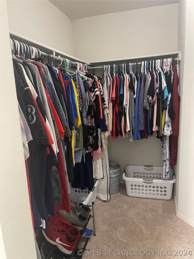 spacious closet featuring carpet