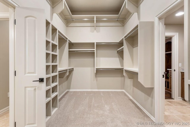 spacious closet with light carpet