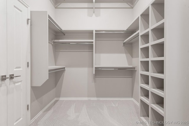 spacious closet featuring carpet flooring