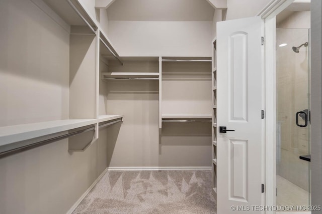 spacious closet featuring light colored carpet