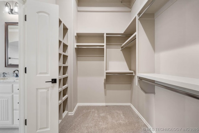 walk in closet with light colored carpet