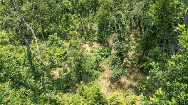 9011 N Lewis Ave, Sperry, OK 74073