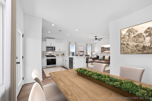 dining room featuring ceiling fan, sink, and light hardwood / wood-style floors