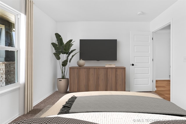 bedroom featuring carpet