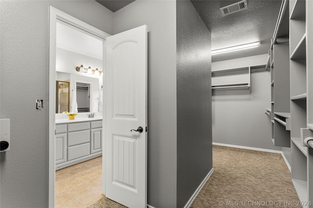 spacious closet with light colored carpet