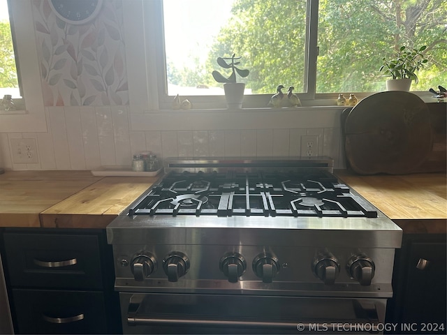 room details with stainless steel range and wooden counters