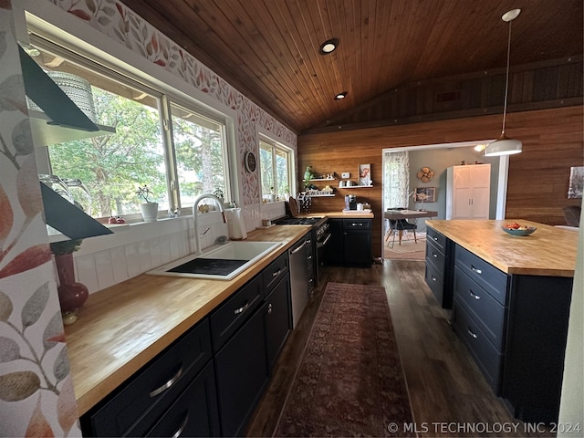 kitchen with pendant lighting, dark hardwood / wood-style floors, sink, wooden counters, and stainless steel dishwasher