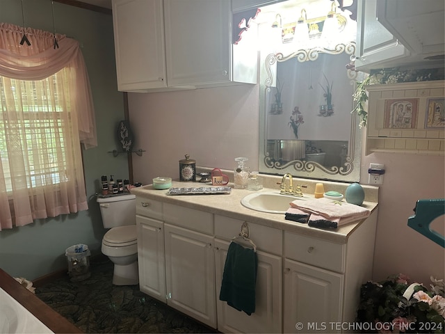 bathroom with toilet and vanity