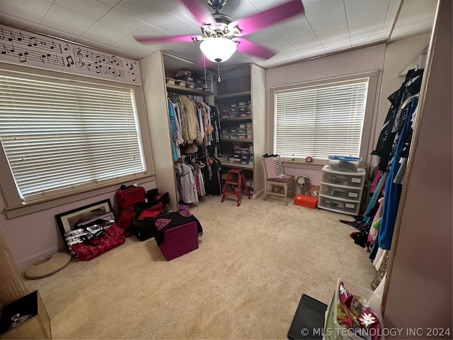 walk in closet featuring carpet and ceiling fan