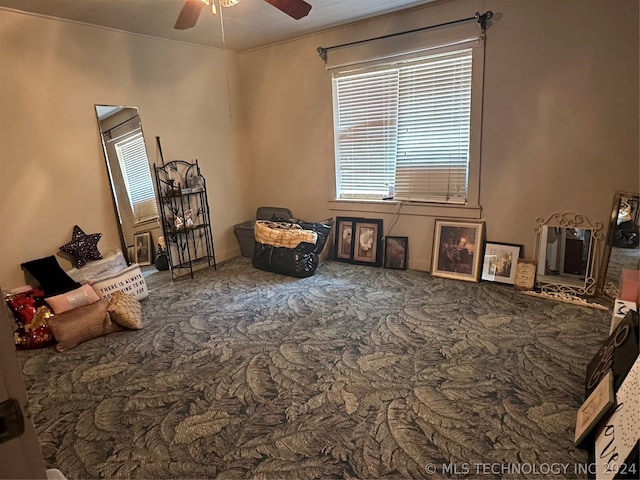 miscellaneous room with a healthy amount of sunlight and ceiling fan