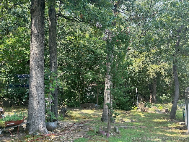 view of local wilderness