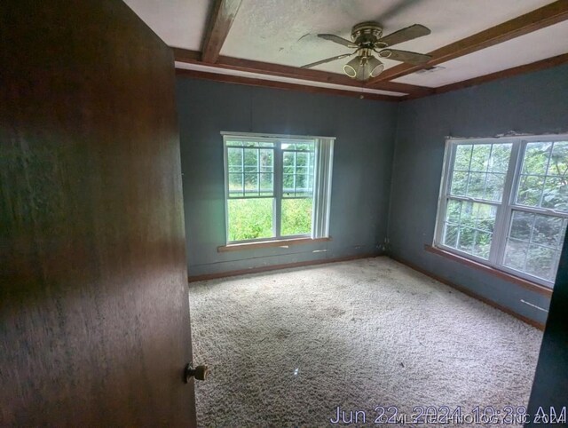 carpeted spare room featuring ceiling fan and beam ceiling