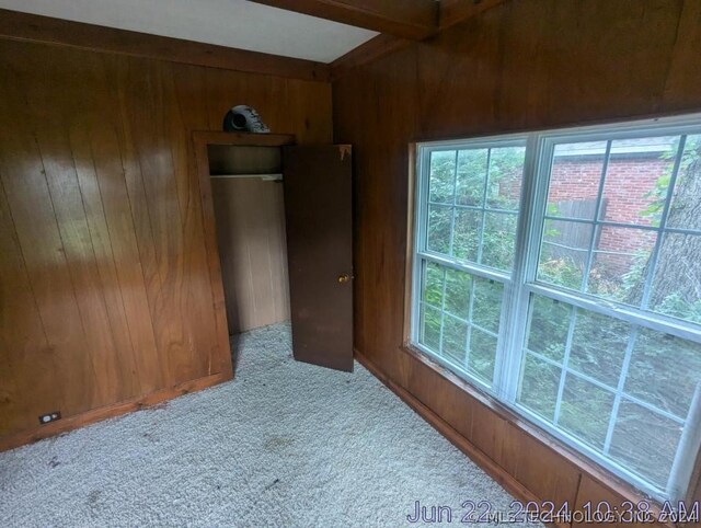 unfurnished bedroom featuring wood walls, carpet, and multiple windows