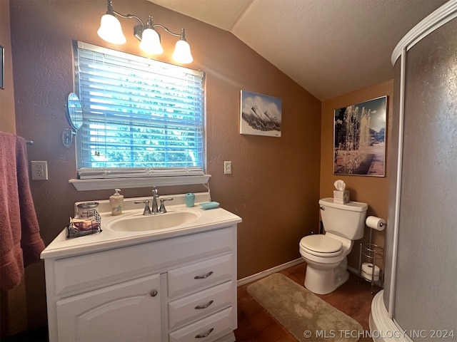 bathroom featuring vanity, wood-type flooring, lofted ceiling, and toilet