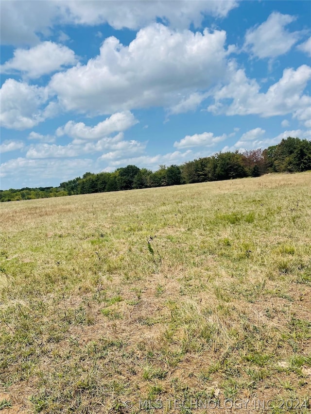 9162 State Highway 78, Hendrix, OK 74741 - photo 52