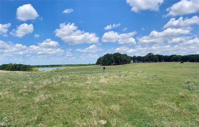 9162 State Highway 78, Hendrix, OK 74741 - photo 28