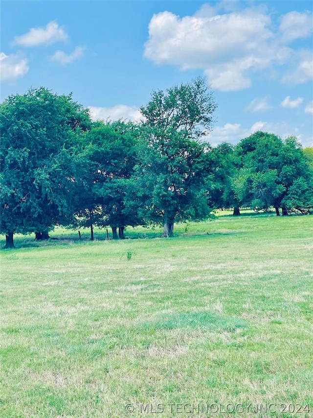9162 State Highway 78, Hendrix, OK 74741 - photo 29