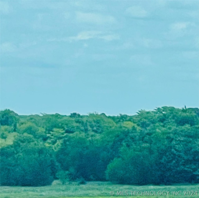 9162 State Highway 78, Hendrix, OK 74741 - photo 23