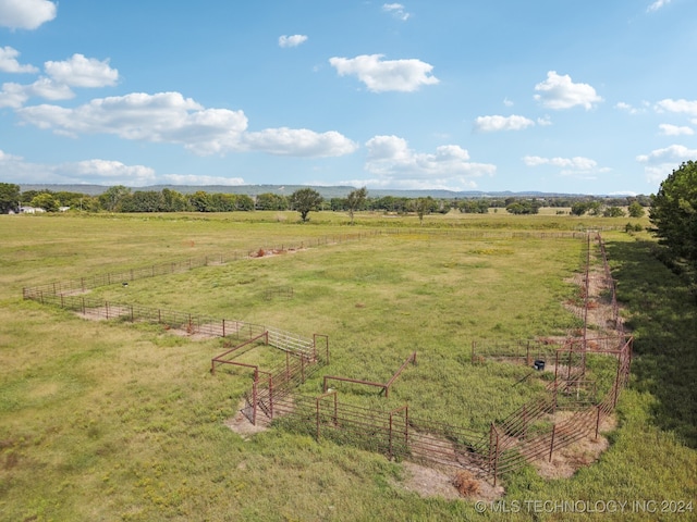 view of yard featuring a rural view