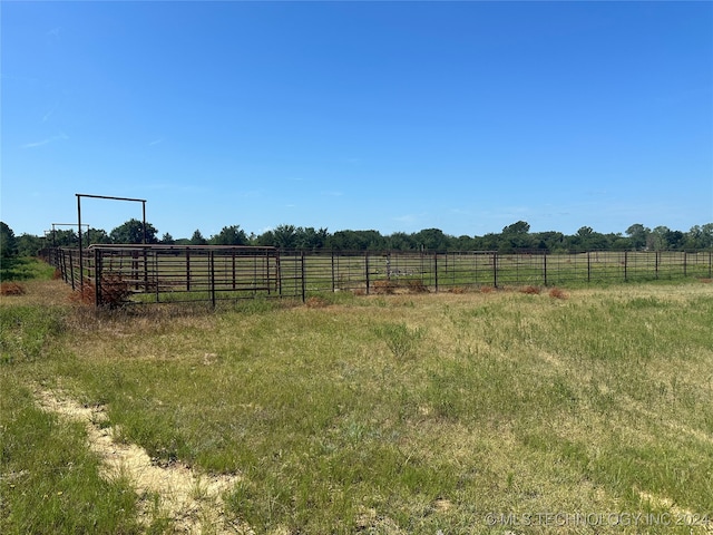 view of yard featuring a rural view