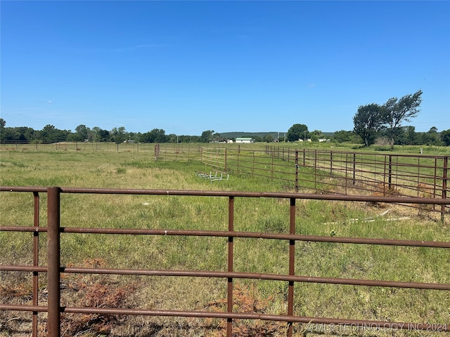 view of yard with a rural view