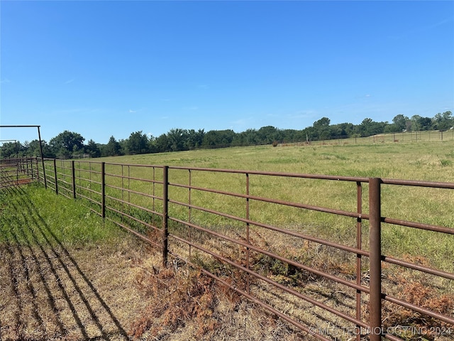 view of yard featuring a rural view