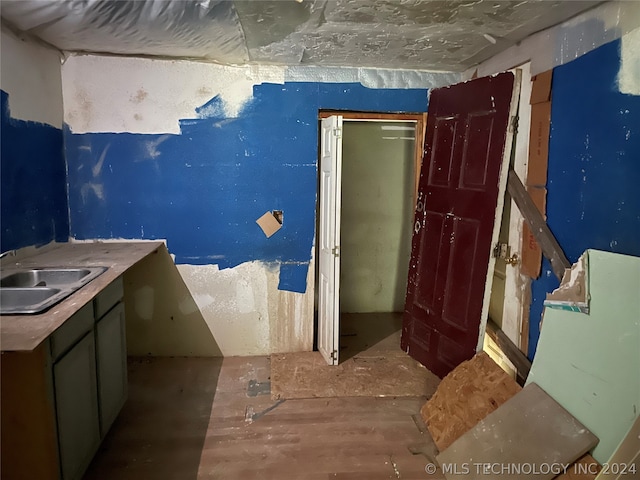 bathroom with wood-type flooring and sink