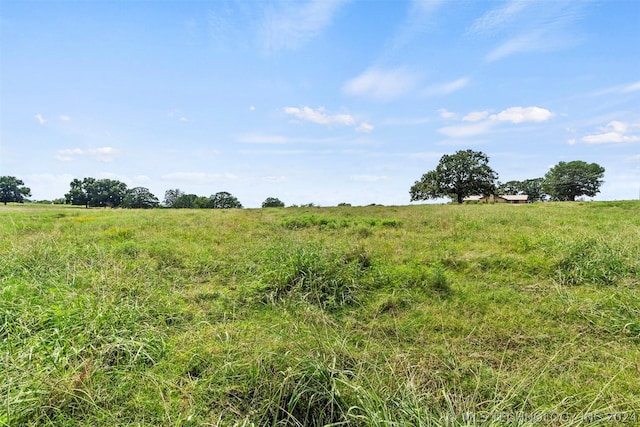 view of local wilderness with a rural view