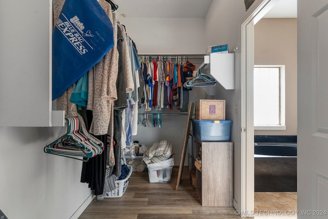 spacious closet featuring hardwood / wood-style flooring