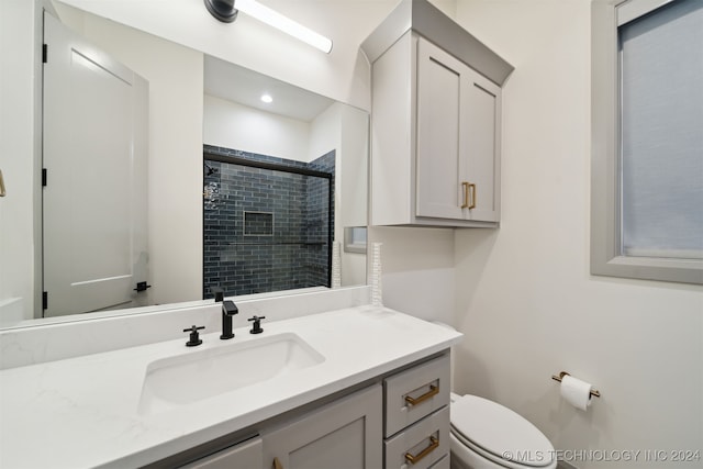 bathroom featuring vanity, toilet, and walk in shower