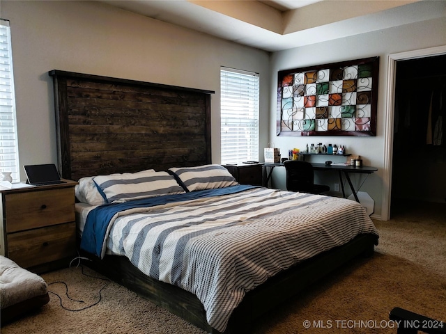 bedroom featuring carpet flooring