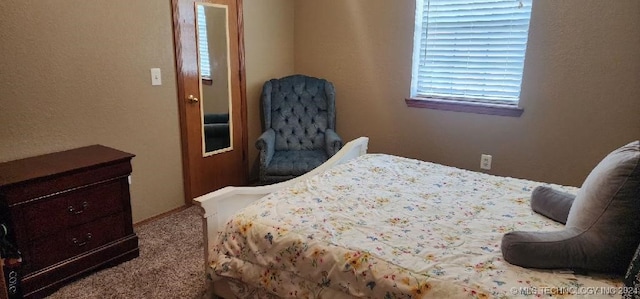 bedroom with carpet floors