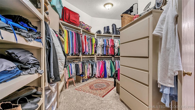 walk in closet featuring light carpet