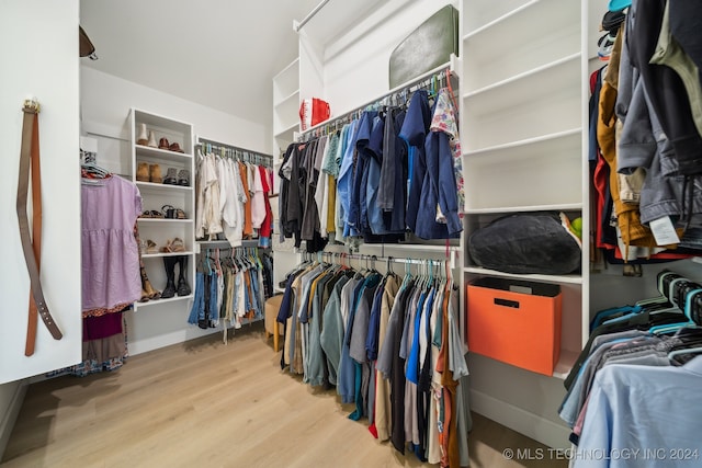 walk in closet featuring light hardwood / wood-style floors