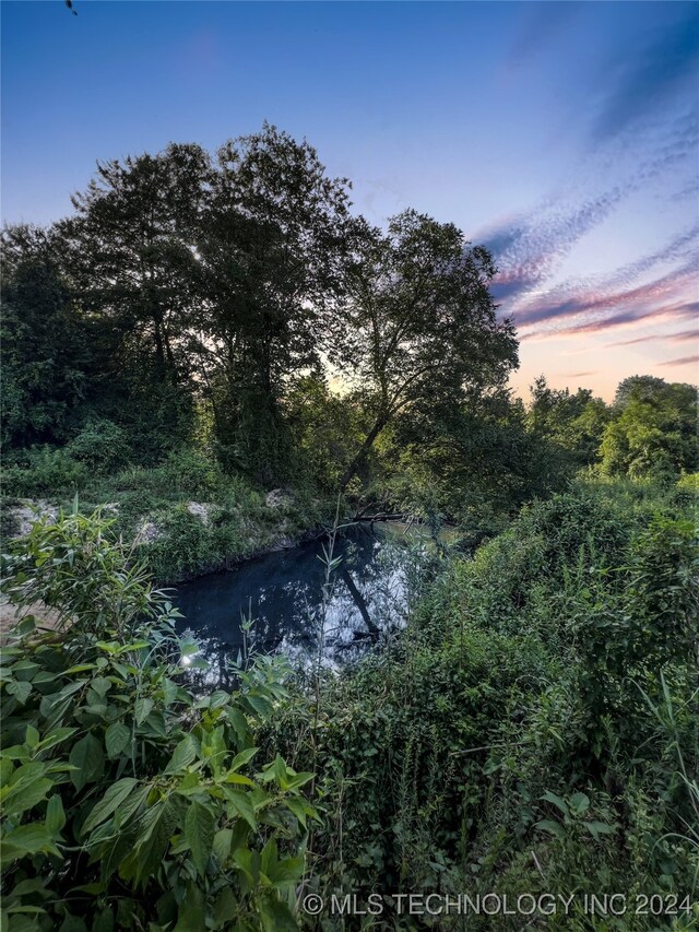 nature at dusk featuring a water view