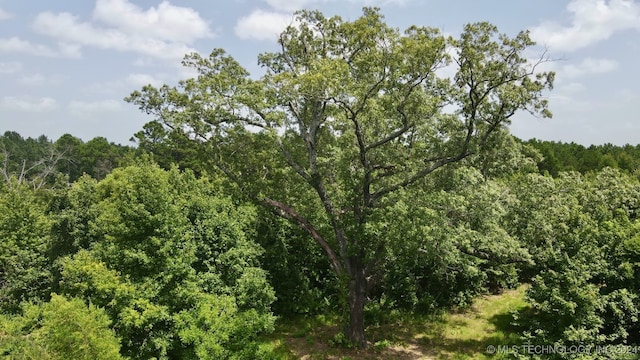 view of landscape