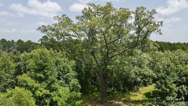 782 N 4380th Rd, Fort Towson, OK 74735 - photo 32