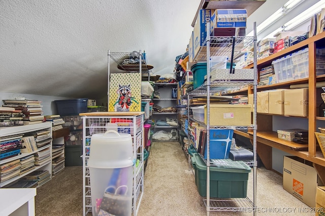 view of storage room