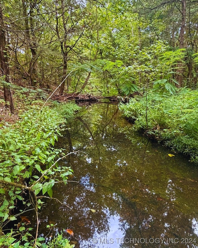 view of local wilderness